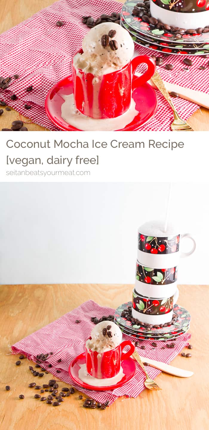 Vegan coconut milk mocha coffee ice cream recipe