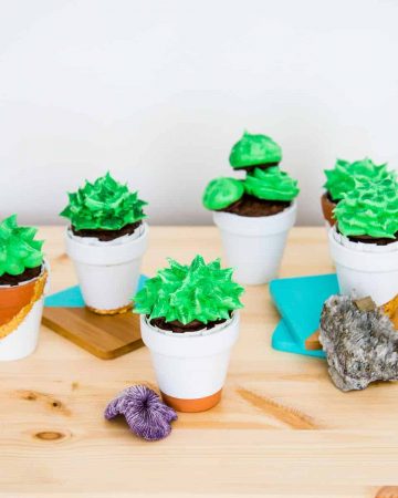 Succulent cupcakes in small terra cotta pots