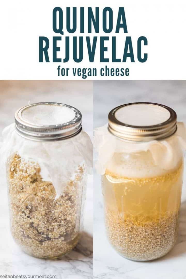Two jars of sprouted quinoa and water with text "Quinoa rejuvelac for vegan cheese"