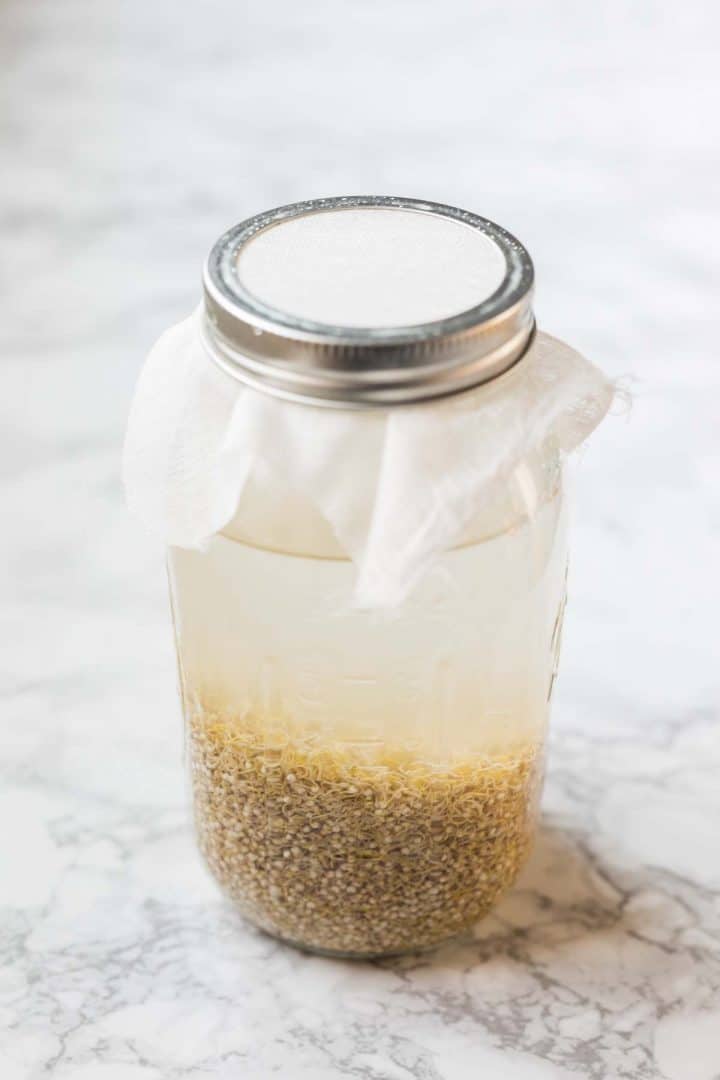 Quinoa in glass jar with water and cheesecloth in lid
