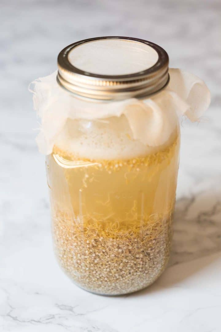 Jar of sprouted quinoa with liquid